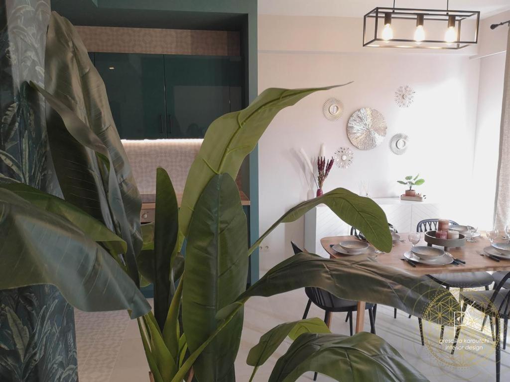 Appartement Carre D'Or Vue Sur Mer Νίκαια Εξωτερικό φωτογραφία